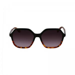 Black/Havana - Acetate Longchamp Women Sunglasses | AU8485OK