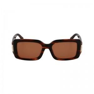 Brown - Acetate Longchamp Women Sunglasses | AU8481TC