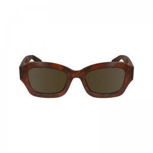 Havana Brown - Acetate Longchamp Women Sunglasses | AU8457ZU