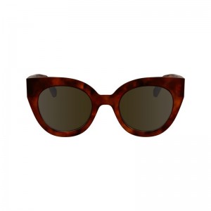 Havana Brown - Acetate Longchamp Women Sunglasses | AU8463FD