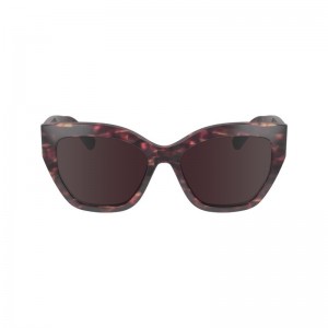 Havana Red - Acetate Longchamp Fall-Winter 2023 Collection Women Sunglasses | AU8478WN