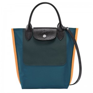 Peacock - Canvas Longchamp Cabas XS Tote Women Mini Bags | AU7028IL