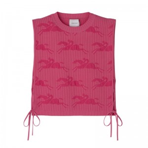 Pink - Knit Longchamp Women Tops | AU8640IL