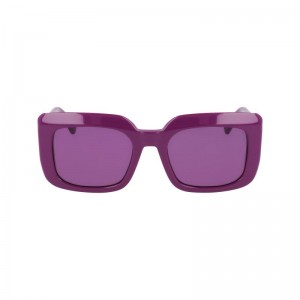 Violet - Acetate Longchamp Women Sunglasses | AU8482YX