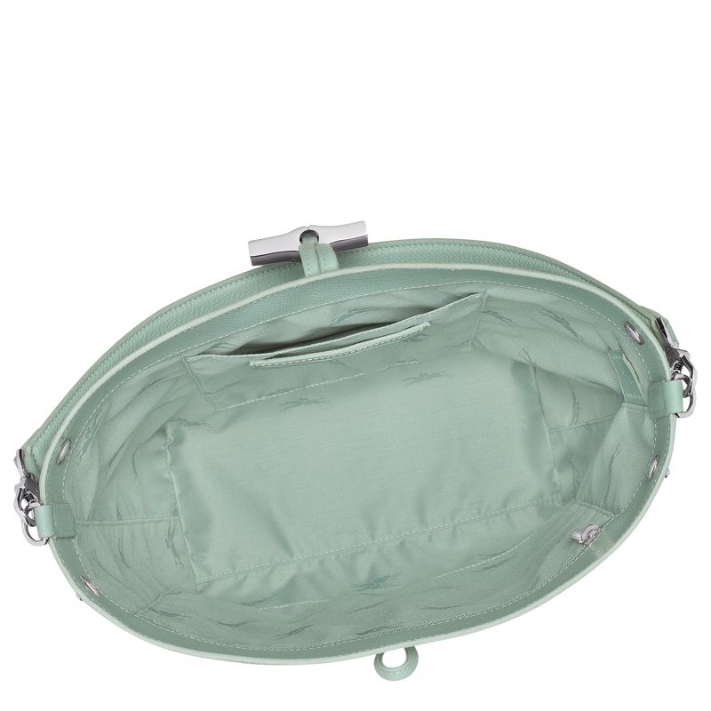 Celadon - Leather Longchamp Le Roseau M Shoulder Women Shoulder Bags | AU7555GS