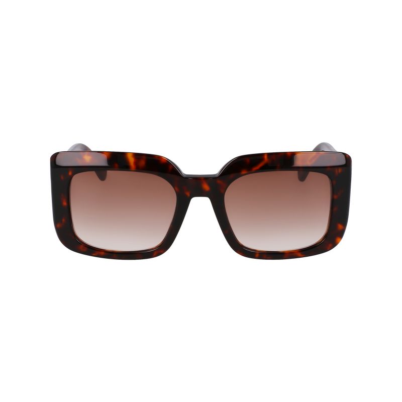 Dark Havana - Acetate Longchamp Women Sunglasses | AU8489DF