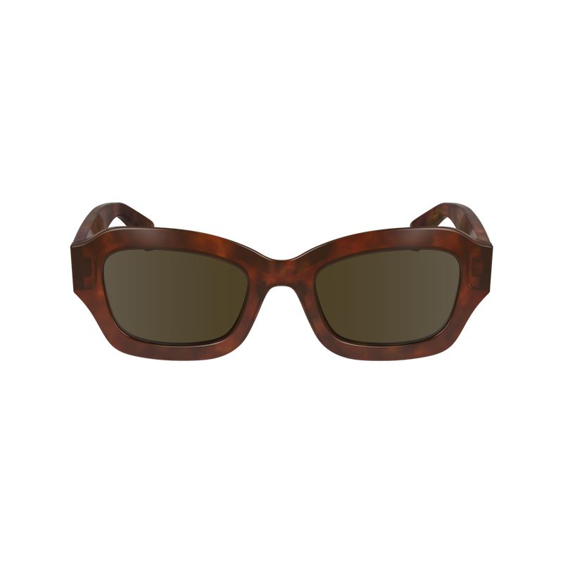 Havana Brown - Acetate Longchamp Women Sunglasses | AU8457ZU