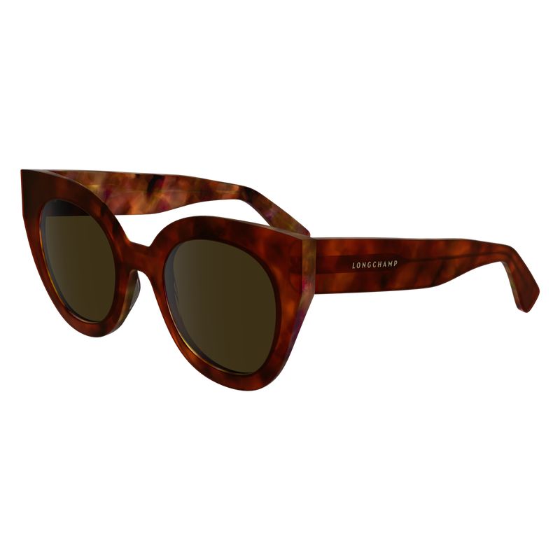 Havana Brown - Acetate Longchamp Women Sunglasses | AU8463FD